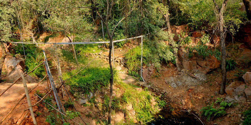 Yamuna Biodiversity Park's Arial View