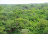 Aravalli Biodiversity Park