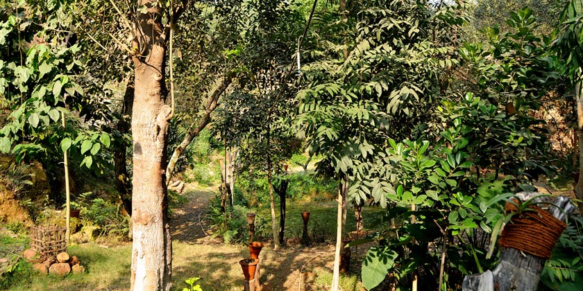 Yamuna Biodiversity Park's Arial View