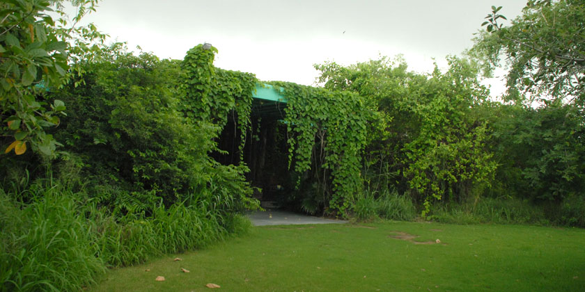 Yamuna Biodiversity Park's Arial View