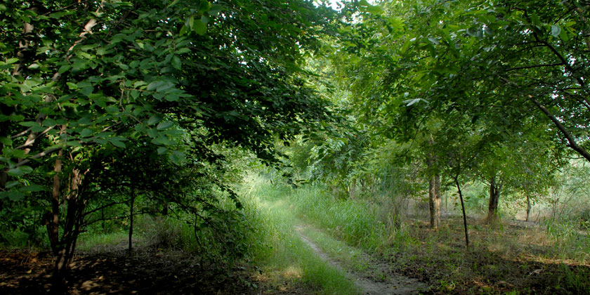 aravalli biodiversity park in new delhi address