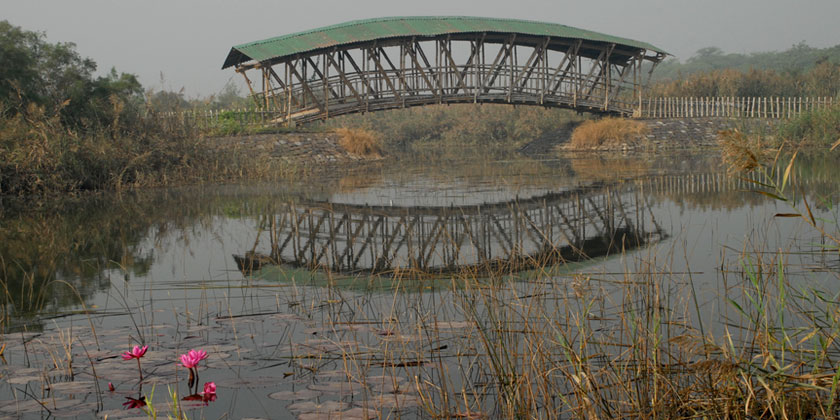 Yamuna Biodiversity Park's SHALLOW WETLAND