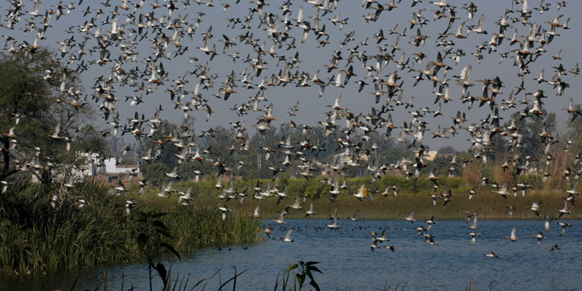 aravalli biodiversity park in new delhi address