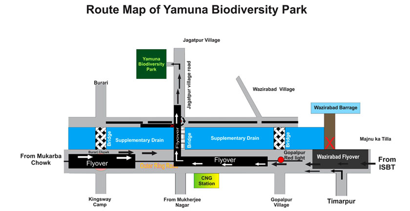 Yamuna Biodiversity Park's Arial View