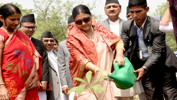 Yammuna Biodiversity Park Delhi