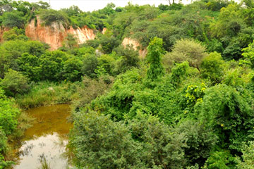 Biodiversity Park