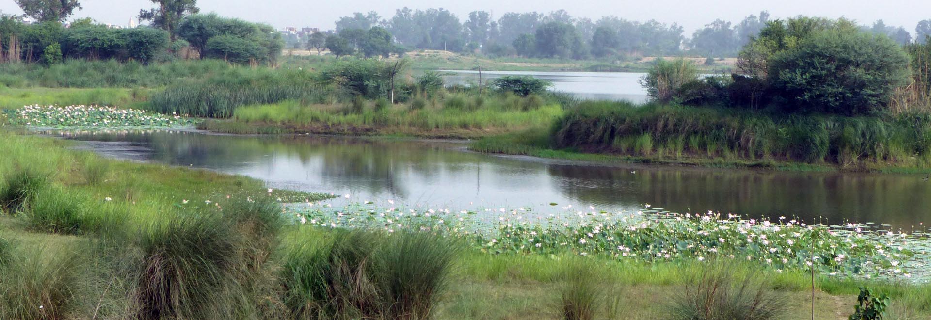 aravalli biodiversity park in delhi